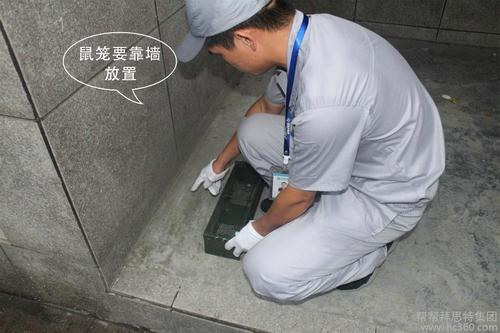 介绍怎么判断家里有老鼠及灭鼠方法