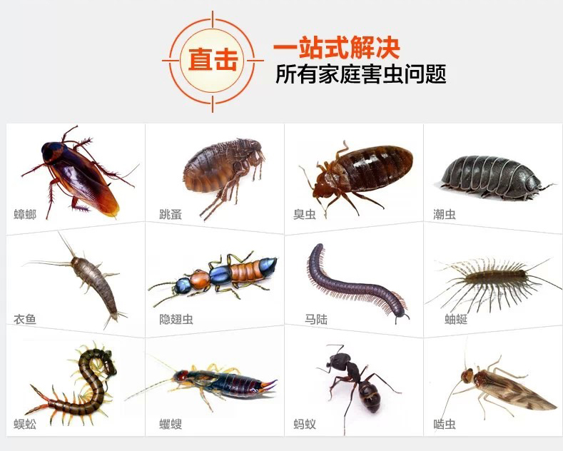 跳蚤的来源和防治方法  ​