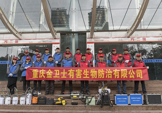 白蚁防治协会技术顾问用灭蚁粉剂治理散白蚁的具体操作方法