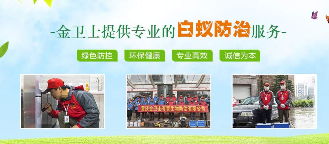 春季3月时期，白蚁消杀工作任重而道远  ​