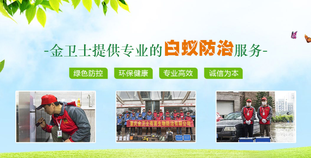 田间杀虫使用杀虫剂的注意事项