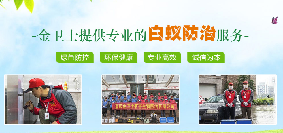 白蚁入侵的主要方式