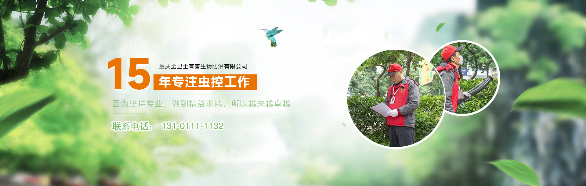 重庆灭蟑螂公司
