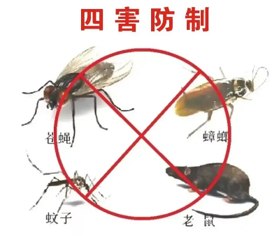 床垫易滋生吸血臭虫，怎样预防呢？