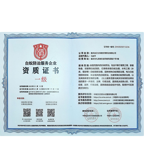 资质证书