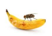 1609920733139668.png